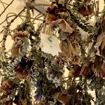 ジェラテリア フィオレ - 