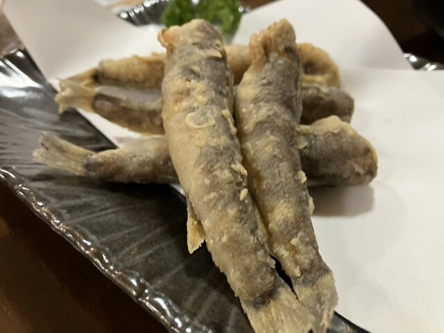 Izakaya Gyoko photo 2