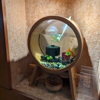 お料理 とみやま - 