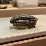 鮨中村 - 小肌（鮨中村）2024.11