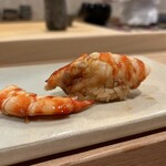 鮨中村 - 車海老（鮨中村）2024.11