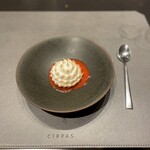 CIRPAS - 