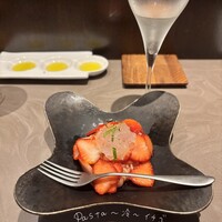 オッジ ダルマット 西麻布店 - 