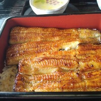 駒形前川 浅草本店 - 坂東太郎うな重