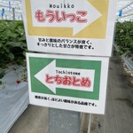 山元いちご農園 - 