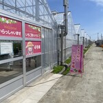 山元いちご農園 - 