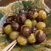 稲水器 あまてらす - 