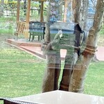 バード・ウォッチ・カフェ - 