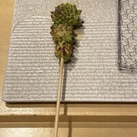 焼き鳥 茂 東桜 - 