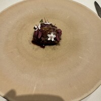 macua - 