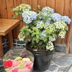 うなぎのまとい - 