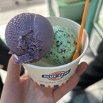 ブルーシール 名古屋栄店 - 