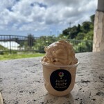 ジューシー&ジューシー オキナワ - 料理写真:フルージー