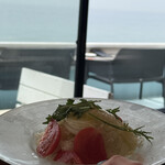 ガーブ コスタ オレンジ - 