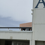 ガーブ コスタ オレンジ - 