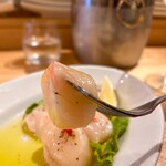 グラツィオーゾ - 