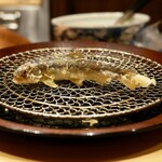 旬天 伸 - 料理写真: