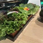 サムギョプサルと韓国料理 TUTUMU38 吉祥寺店 - 