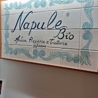 ナプレ 横浜高島屋店 - 