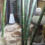 懐石 花桐茶寮 - 中庭
      