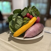 萬屋本店レストラン - 各料理で使った野菜たち　紫大根、紫人参、春キャベツ、黄ズッキーニなど