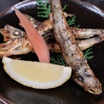 味季創作 櫂 - メヒカリ一夜干し