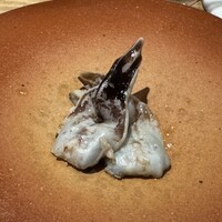 bb9 - 
