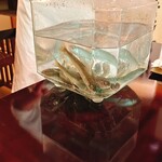 青蓮院門跡前 月おか - 