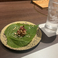 川端志史 - 