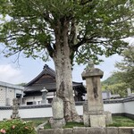 おおぐま食堂 - 向かって一番左が母里太兵衛さんのお墓