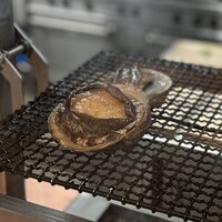ウシマル - 勝浦産メガイアワビ