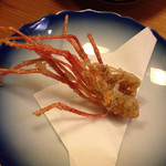 魚御殿 さわだ - お造りの海老を揚げてもらいました。幸せ。