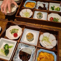 雪梅花 菜根譚 - 