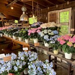 アールケイ ガーデン - 