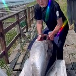 光る海 - 店主インスタグラムより