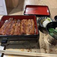 うなぎ 目白ぞろ芽 - 