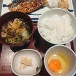 圓 弁柄 渋谷ストリーム - 