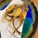 焼き鳥 おおせ - 