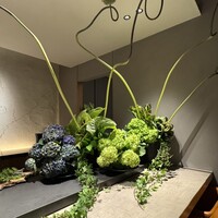 唐渡 - 