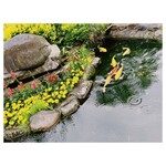 ふれあいの里 - 