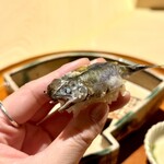 銀座 しのはら - 稚鮎