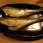 宝寿司分店 - 一夜干しハタハタは、この上無く美味しいアテ