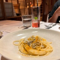 タケル クインディチ(LOQUAT) 西伊豆 - 