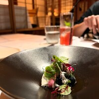 タケル クインディチ(LOQUAT) 西伊豆 - 