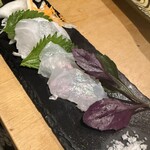 散歩亭 - 屋久島近海のクエのお刺身