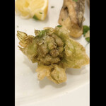 da Uma - ふきのとうのフリット　byまみこまみこ