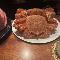 蒼 - 