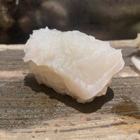 築地青空三代目  銀座三越 - 