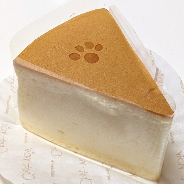 Chat noir Jr Suminodo Ten