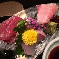 伊豆の旬 やんも 丸の内店 - おなが鯛/まぐろ/わらさ